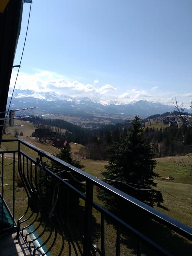 U Bafii Hotell Gliczarów Exteriör bild